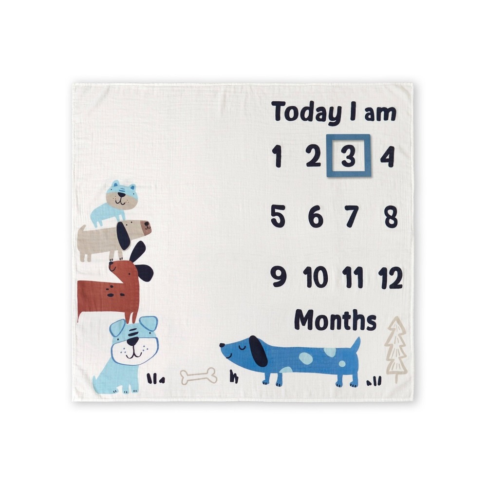 Gerber Baby‎ Boy 2 Piece Monthly Milestone Blanket And Frame Set Blue Dogs NEW